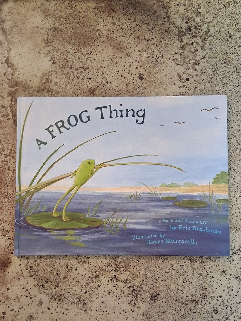 A Frog Thing By Eric Drachman Childrens Picture Book CD Daycare Homeschool